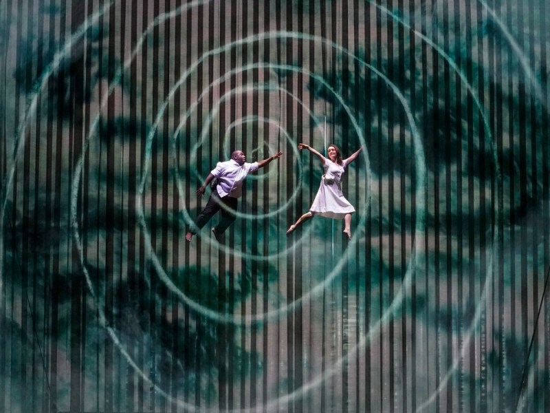 Die Zany Zauberflöte